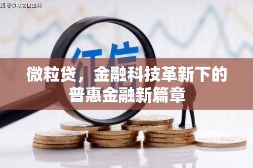 大宁微粒贷，金融科技革新下的普惠金融新篇章