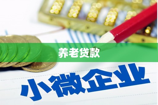 松滋养老贷款