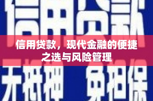 塔什库尔干塔吉克信用贷款，现代金融的便捷之选与风险管理
