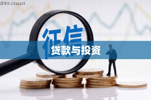 巍山贷款与投资