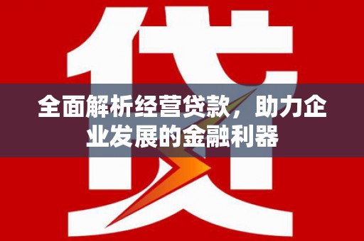 甘孜全面解析经营贷款，助力企业发展的金融利器