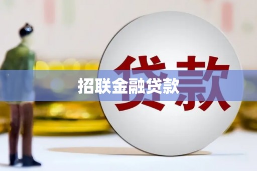 枝江招联金融贷款