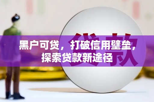 东阿黑户可贷，打破信用壁垒，探索贷款新途径