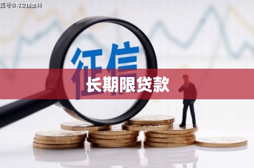 淮上长期限贷款