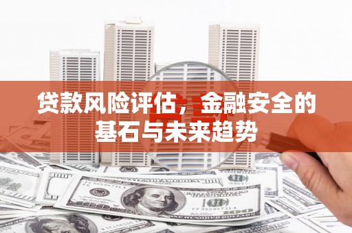 西昌贷款风险评估，金融安全的基石与未来趋势