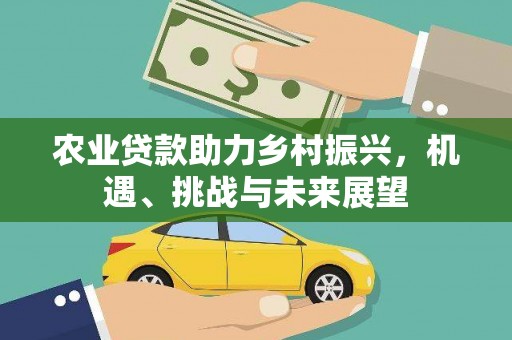 苓雅农业贷款助力乡村振兴，机遇、挑战与未来展望