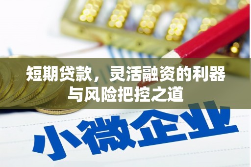 弥陀短期贷款，灵活融资的利器与风险把控之道
