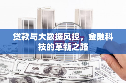 太保贷款与大数据风控，金融科技的革新之路