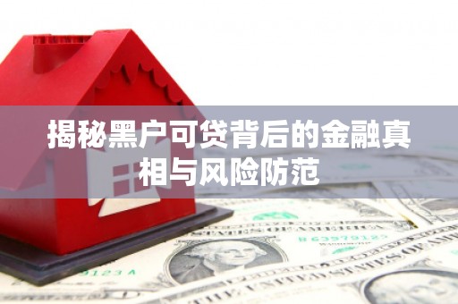 张湾揭秘黑户可贷背后的金融真相与风险防范