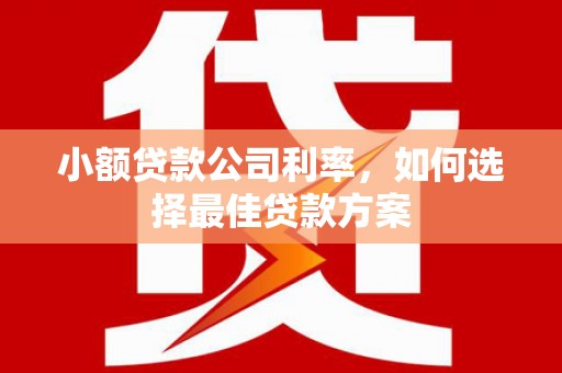 安县小额贷款公司利率，如何选择最佳贷款方案