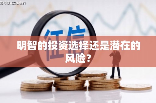 西和明智的投资选择还是潜在的风险？