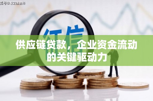 狮潭供应链贷款，企业资金流动的关键驱动力