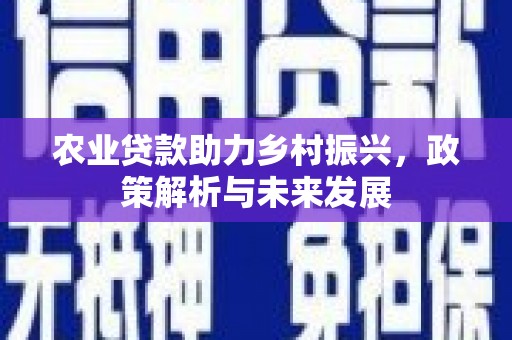 澧县农业贷款助力乡村振兴，政策解析与未来发展