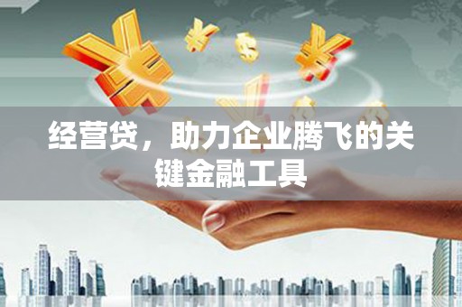 顺庆经营贷，助力企业腾飞的关键金融工具