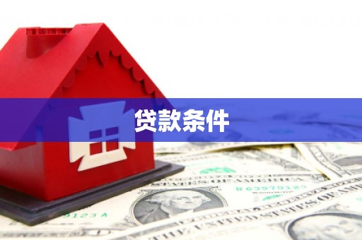 平舆贷款条件