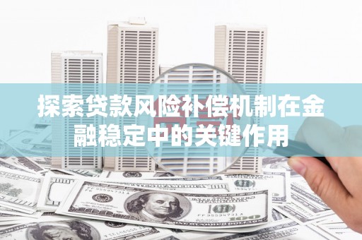 新田探索贷款风险补偿机制在金融稳定中的关键作用