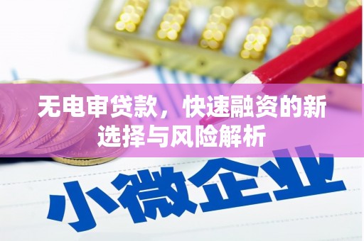 四湖无电审贷款，快速融资的新选择与风险解析