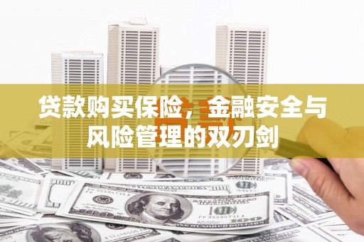 海拉尔贷款购买保险，金融安全与风险管理的双刃剑
