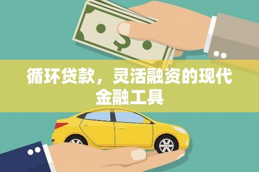 赵县循环贷款，灵活融资的现代金融工具