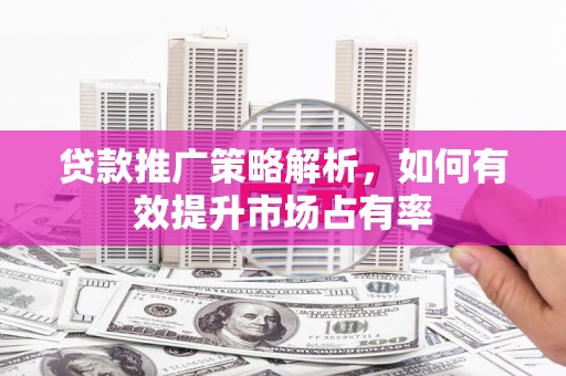 柳南贷款推广策略解析，如何有效提升市场占有率