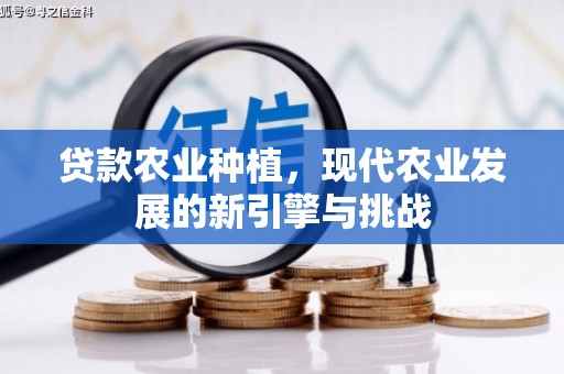 清镇贷款农业种植，现代农业发展的新引擎与挑战