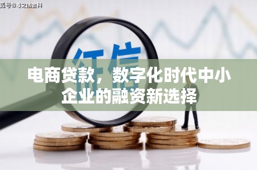 遂昌电商贷款，数字化时代中小企业的融资新选择