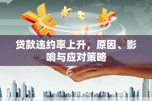 乐东贷款违约率上升，原因、影响与应对策略