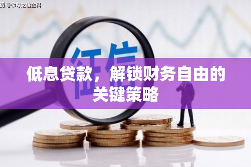 遵化低息贷款，解锁财务自由的关键策略