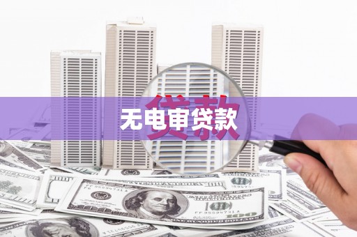 临翔无电审贷款