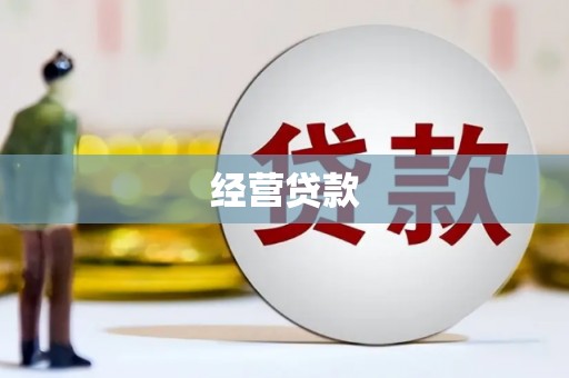 美姑经营贷款