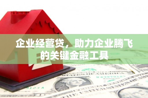 且末企业经营贷，助力企业腾飞的关键金融工具