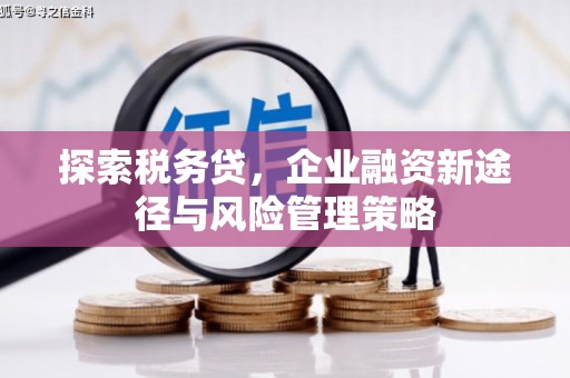 合川探索税务贷，企业融资新途径与风险管理策略