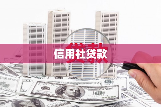 圣方济各堂区信用社贷款