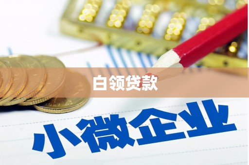 长洲白领贷款