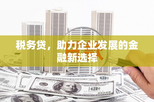 秦淮税务贷，助力企业发展的金融新选择
