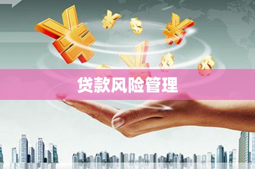 蒙城贷款风险管理