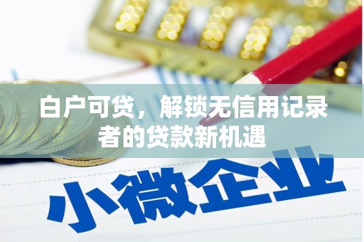 狮子白户可贷，解锁无信用记录者的贷款新机遇