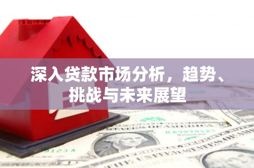 花溪深入贷款市场分析，趋势、挑战与未来展望