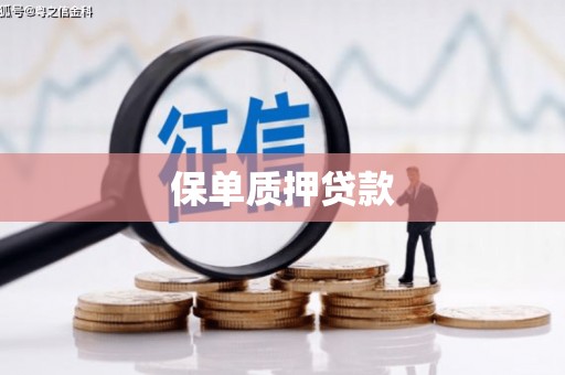 秦淮保单质押贷款