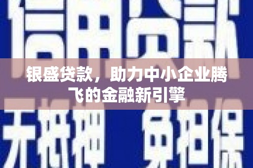 山海关银盛贷款，助力中小企业腾飞的金融新引擎