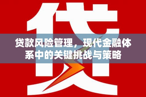 狮潭贷款风险管理，现代金融体系中的关键挑战与策略