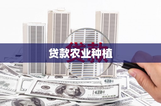 大林贷款农业种植