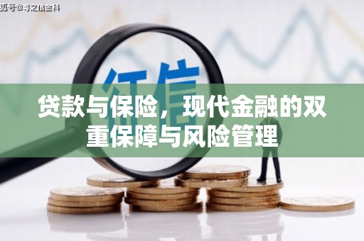 文安贷款与保险，现代金融的双重保障与风险管理