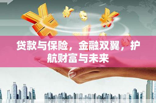 东坡贷款与保险，金融双翼，护航财富与未来