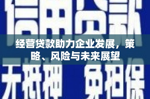 利辛经营贷款助力企业发展，策略、风险与未来展望