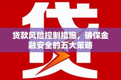 沙坡头贷款风险控制措施，确保金融安全的五大策略