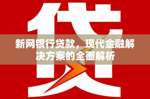 双湖新网银行贷款，现代金融解决方案的全面解析