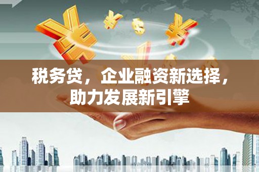 泽普税务贷，企业融资新选择，助力发展新引擎