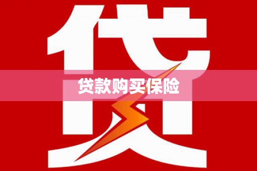 双峰贷款购买保险