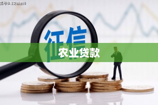 西双版纳农业贷款
